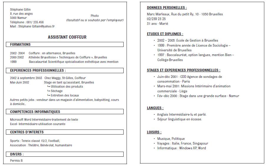 resume format  pr u00e9sentation cv open office